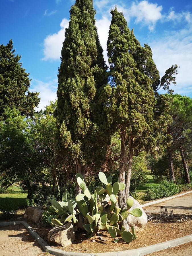 Residence Cala Sultana -Baie Santa Giulia - Rez Jardin 1Ere Ligne Porto-Vecchio  Exterior photo